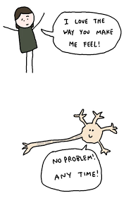 Love White Blood Cells Science Is Fun Neurociencia Neuronas El Cerebro