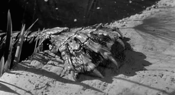 Creature From the Green Lagoon: Retro Eco-Horror - Horror Obsessive