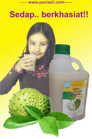 Teh dari daun durian belanda ada khasiat anti kanser. Teh Daun Durian Belanda Cegah Kanser Sakit Lutut Home Facebook