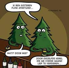 Kerst Is Voorbij Grappige Kerst Plaatjes Grappige Tekenfilms Grappig