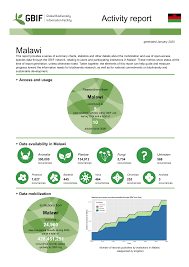 Image result for Tragia grandistipularis