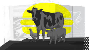 We did not find results for: Vegan Meat Technology May Vanquish Our Core Myths About Eating Animals Vox