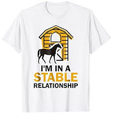 I M In A Stable Relationship Funny Horse Riding Mare T Shirt Horse T Shirts Funny Horse Cool T Shirts