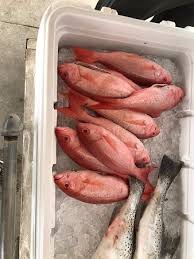 Maybe you would like to learn more about one of these? Bogue Island Pier Bild Von Bogue Inlet Fishing Pier Emerald Isle Tripadvisor
