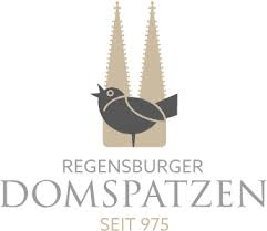Vorwürfe gegen kirche regensburger domspatzen durch missbrauch traumatisiert. Start Regensburger Domspatzen