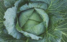Apixaban is used to treat or prevent deep venous thrombosis, a condition in which harmful blood clots form in the blood vessels of the legs. Blood Thinners And Greens A Mix To Avoid How To Eat Well For Your Heart