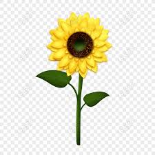 Biji bunga chocolate sunflower mudah ditemukan dan harganya cukup terjangkau. Gratis Bunga Matahari Musim Gugur Bunga Kuning Segar Pola Dekoratif Kar Png Psd Unduhan Gambar Ukuran 2000 2000px Id 832251936 Lovepik