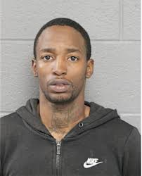 ᐅ Illinois Criminal Records 2009-2025