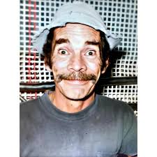 Don Ramón, interpretado por Ramón Valdes. Este personaje es considerado por  muchos inclusive por miembros del elenco como el mejor de toda la serie.  Don Ramón era la misma personalidad en la