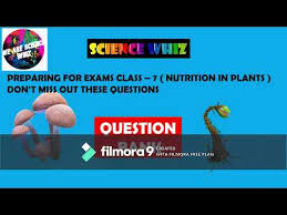 question bank cl 7 nutrition in