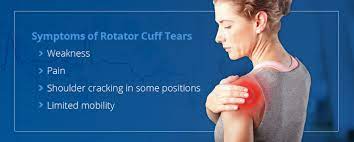 We did not find results for: Types Of Rotator Cuff Tears Orthobethesda