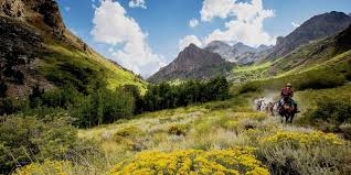 Detailed road map of sierra nevada. Discover The High Sierra Visit California