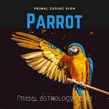 Primal Astrology Spirit Of The Parrot