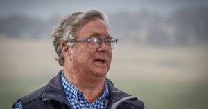 Female focus key to Angus breeding