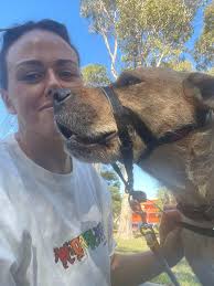 spotted this good boy keeping his paws protected for 4th of July  festivities!!