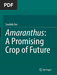 Image result for Amaranthus praetermissus