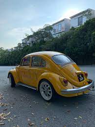 Bumblebee Pinkguy Fusca