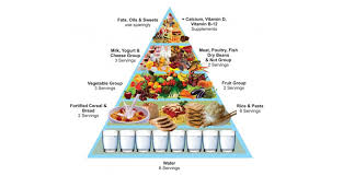 This means that choosing a healthy diet is an important task. Food Pyramid Did You Know A Guide To Healthy Eating With The Food Pyramid Goqii