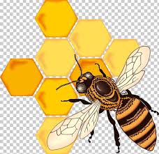 Descubra bumblebee hand drawn vector illustration tattoo imágenes de stock en hd y millones de otras fotos, ilustraciones y. Honey Bee Honeycomb Drawing Png Clipart Arthropod Bee Bumblebee Coloring Book Drawing Free Png Download