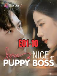 Nice, My Puppy Boss: A Heartwarming Love Story
