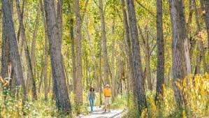 32nd avenue aurora, co 80011. Colorado Parks Wildlife Cherry Creek