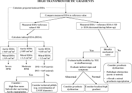 Prosthetic Heart Valves Circulation