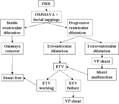 Algorithm Of Treatment Of Post Hemorrhagic Ventricular Dilatation In Download Scientific Diagram