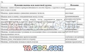 лабораторная работа 4 по биологии 7 класс латюшин ответы Geografiya 10 Klass Prakticheskie Raboty Otvety Kovalenko Workbook Photoshop Cs5 Blog