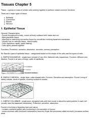 Erin Niewinski Copy Of Tissues Chart Pdf Tissues