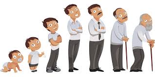 Free Life Expectancy Clipart, Download Free Life Expectancy ...
