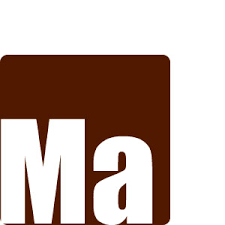 Image result for Brun Guaranja 2011 Citroen