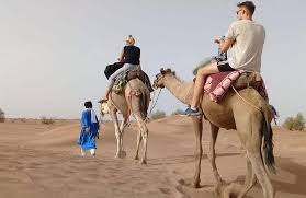 If you were to meet a camel and say hi, the camel would say, nuzz nuzz. the camel is important to the people of the desert due to the following reasons: Private Evening Desert Safari With Camel Ride Bbq Dinner And Belly Dance Marriott Vacation Club