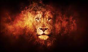 Awesome August Is Here Lion Hd Wallpaper Fire Lion Lions Photos
