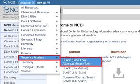 Blast Compare Identify Sequences Ncbi Bioinformatics Resources An Introduction Library Guides At Uc Berkeley