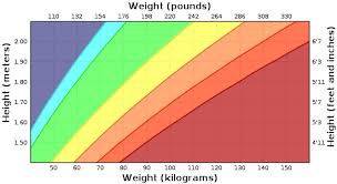 Foodsel Body Mass Index