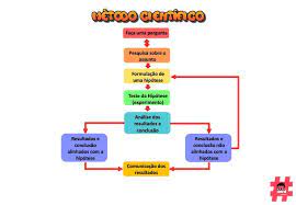 mapa mental metodo cientifico mapas mentais ciclo de krebs mapa