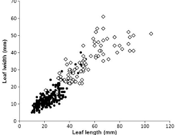 Image result for Warneckea sansibarica