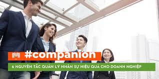 6 nguyên tắc quản lý nhân sự hiệu quả trong doanh nghiệp
