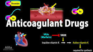 Image result for Anticoagulation