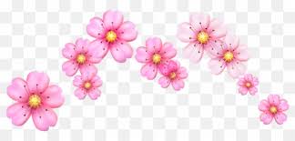 Whale emoji meaning is often regarded as the animals as this flower is beautiful and feminine, it is regarded as the symbol of beauty. Pink Flower Emoji Png Ios Flower Emoji Transparent Free Transparent Png Images Pngaaa Com