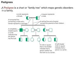Genetic Disorders Ppt Download