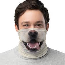 Dog Costume Labrador