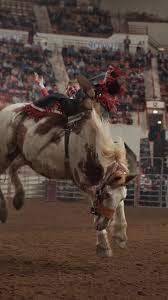 Shake and Bake might just be my favorite Bronc 😍 Chase Parks putting up a  good fight last night at the @bullridemania Finals in Harrisburg  Pennsylvania! . . . #bullridemania #bullridemania2023 #brm ...