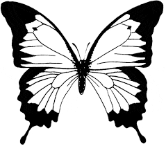 Free Ulysses Butterfly Coloring Page Butterfly Coloring Page Butterfly Printable Butterfly Stencil