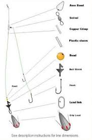 Fish have a sixth sense that humans do not. One Up One Down Rig Google Search Fishing Tips Saltwater Fishing Fishing Knots