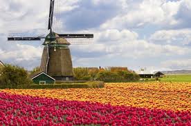 Ada 22976 hotel, resort, dan vila siap dipilih di belanda. Mana Yang Benar Holland Ataukah Belanda Itu National Geographic