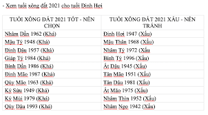 Tuổi quý dậu chọn ai xông đất 2021. Es4na7fphi9fjm