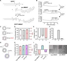Convection-Enhanced Delivery of Auristatin-Conjugated Layer-by-Layer  Nanoparticles for Glioblastoma Treatment