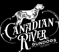 Wirehaired pointing griffons will track nearly any game, making them ideal for pheasant hunters who often wound a bird still capable of escape by running through the fields when downed. Canadian River Gundogs Wirehaired Pointing Griffon
