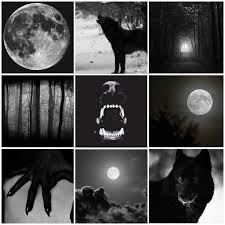 Quick vidlet to let you know why i've been busy these. Werewolf Werewolf Aesthetic Werewolf Vampires And Werewolves